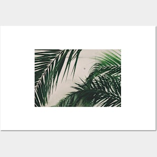 Artful Palm Leaf Graphic Posters and Art